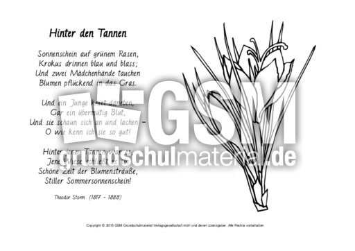 Hinter-den-Tannen-Storm-ausmalen.pdf